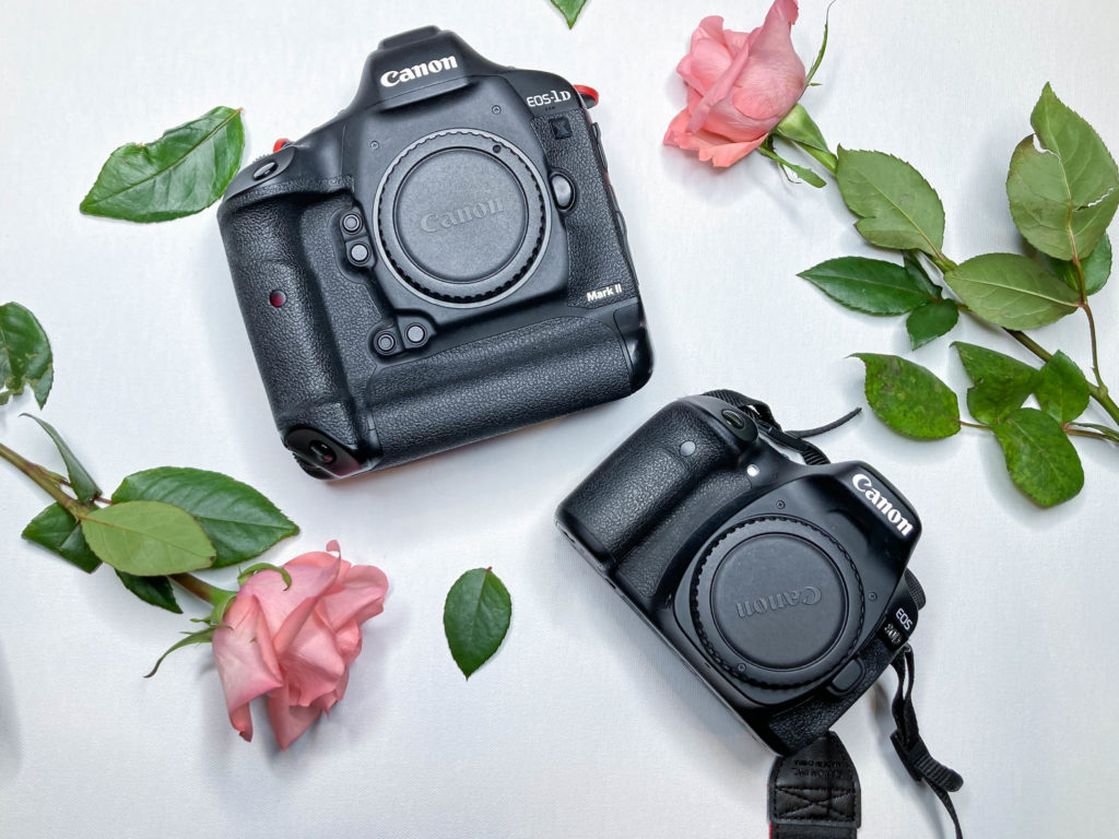 Best photography cameras for beginners - Canon 1DX and Canon 80D